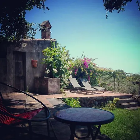 Saja *