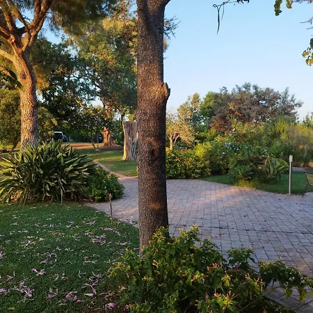 Saja Дом отдыха *