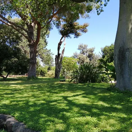Saja Acireale