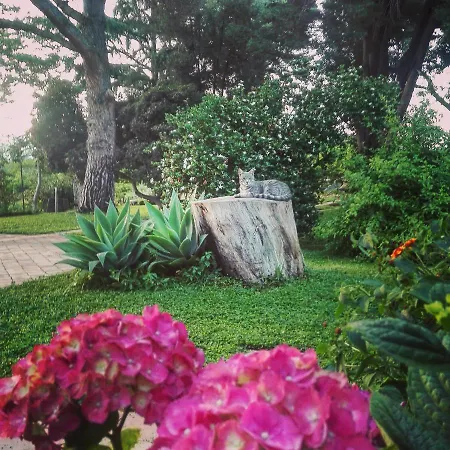 Saja Дом отдыха Ачиреале