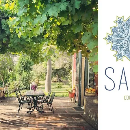 Saja * Ачиреале