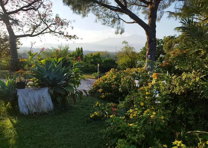 Holiday home Saja