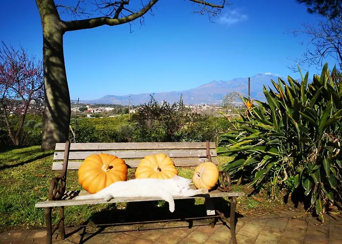 Saja Holiday home Acireale