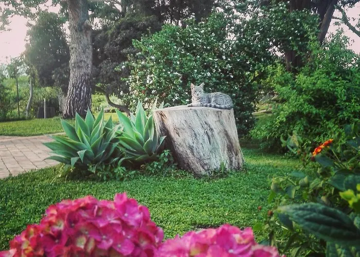 Saja Holiday home Acireale